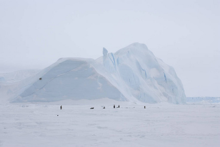 雪花冰山冰雪下的南极景观, 暴风雪过后的冰山照片