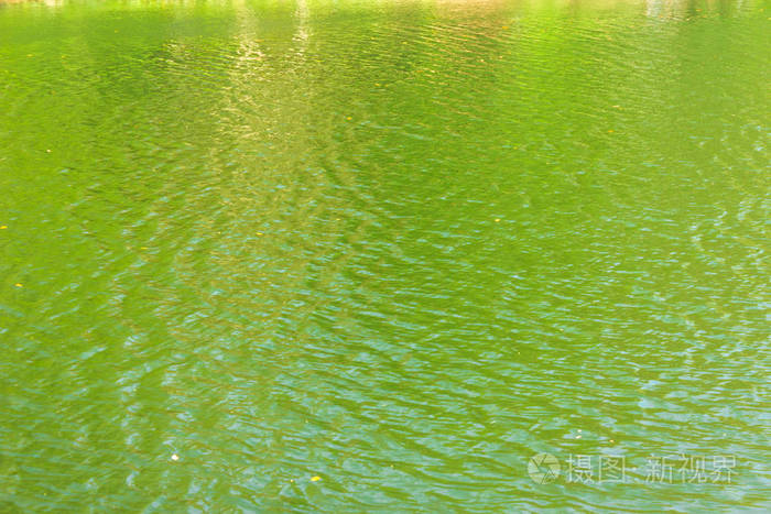 湖泊水面上的绿色涟漪
