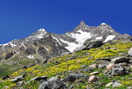 奥伯 gabelhorn瑞士的阿尔卑斯山