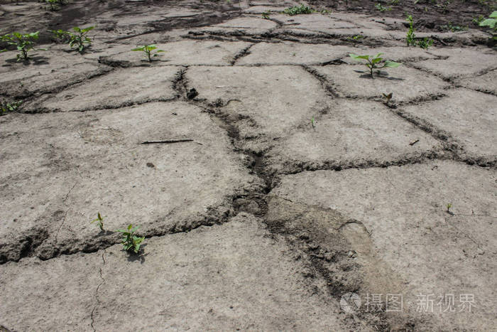 坚硬干燥的土壤与裂缝