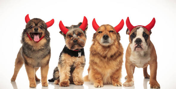 四小恶魔狗队庆祝万圣节, 拼贴画图片