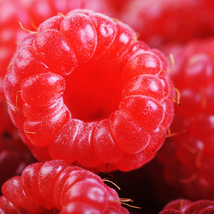 成熟的红树莓