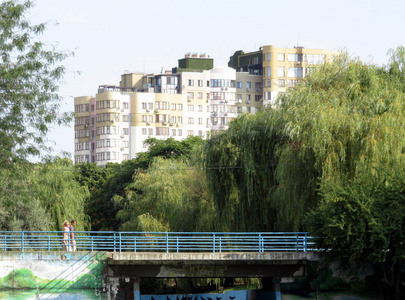 城市公园的池塘桥