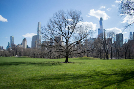 著名的中央公园和纽约天际线的看法在一个晴朗的天早春与光秃的树, 纽约, 美国