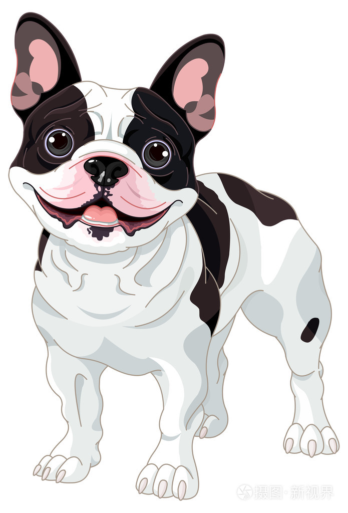 法国斗牛犬