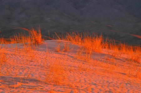 在沙丘上的日落