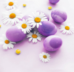 五颜六色的复活节彩蛋在白色背景雏菊花