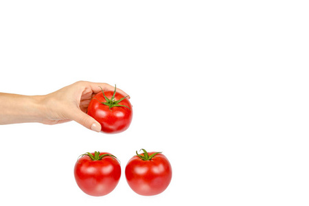 新鲜全生红番茄, 叶和手, 白色背景, 复制空间模板
