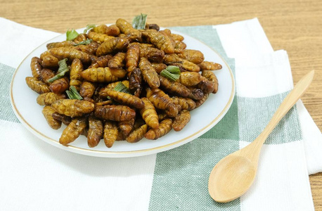 烹饪和食品, 泰国传统的油炸椰子蠕虫与香草在白色的菜肴。泰国最受欢迎的街头美食之一