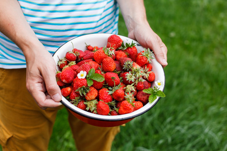 在盘子里的草莓