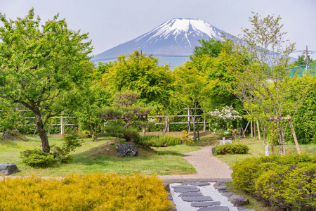 在富士山的美丽的花园与五颜六色的花朵的风景