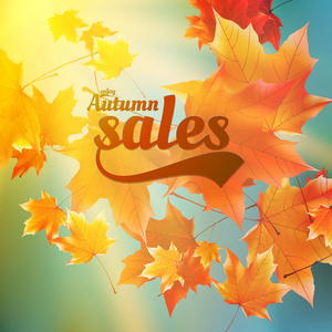 秋天出售现实叶子排版海报图片