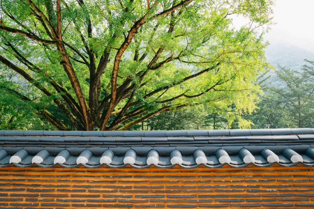 农村文化墙样板韩国传统墙和树照片