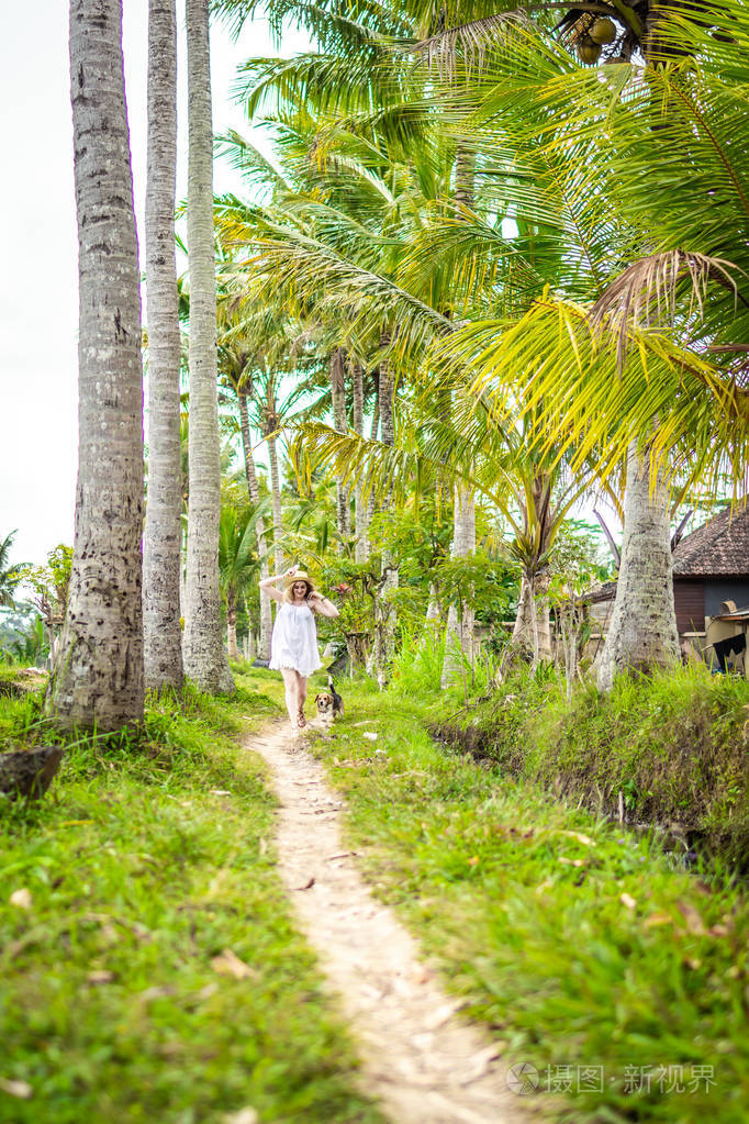 在巴厘岛的热带公园里在稻田中奔跑着可爱的小猎犬狗的年轻女子印度尼