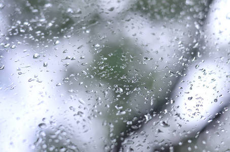 一张雨点的照片落在玻璃窗上, 模糊地看着那朵盛开的绿树。显示多云和阴雨天气情况的抽象图像