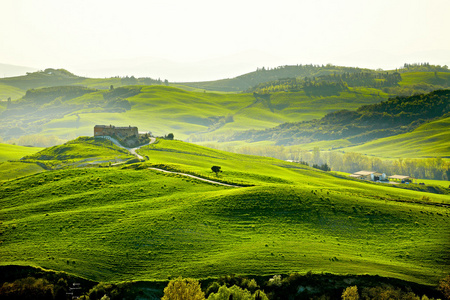 农村，san quirico orcia，托斯卡纳意大利