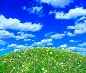 蓝天白云下的草原