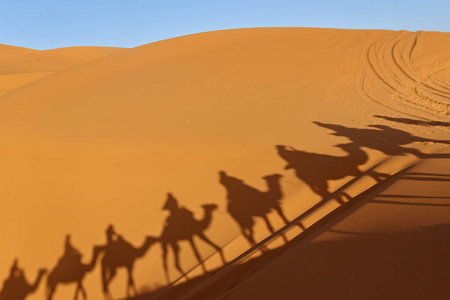 沙漠中的骆驼骑影