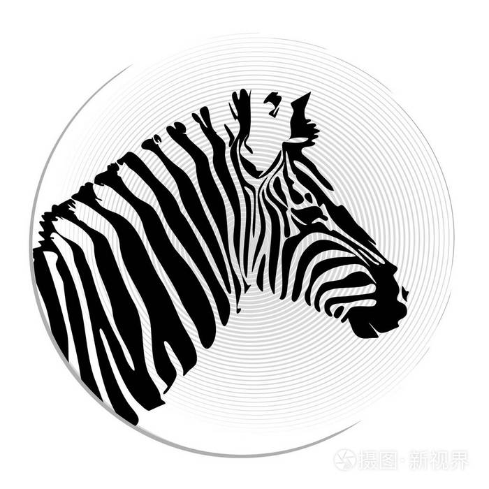 矢量图像的斑马头插画-正版商用图片07ayt3-摄图新视界