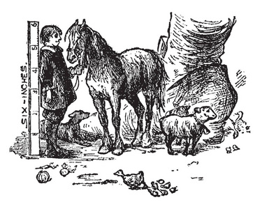 六寸的人和马, 这个场景显示一个六英寸男子与动物和巨人的脚, 复古线条画或雕刻插图