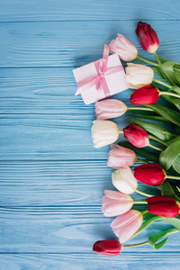 新鲜五颜六色的郁金香铺设在蓝色的木质背景与礼品盒