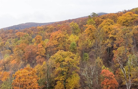 在明亮的秋天颜色被森林覆盖的雪兰山谷山脉的鸟瞰图