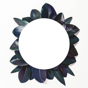 创造性的布局由紫色的叶子与纸卡片笔记。紫外线概念