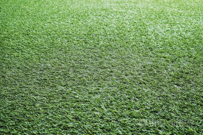 绿草纹理背景足球场