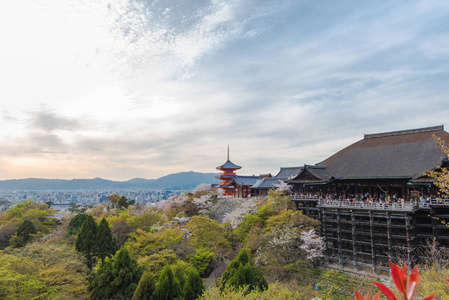 在春天清水德拉寺