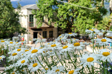 风景如画的村庄里的 aristi zagori 地区，北部格雷克