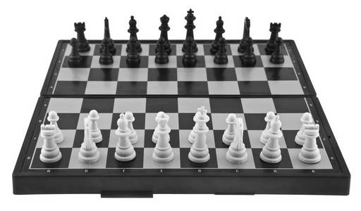棋被隔绝在白色背景。作为包装设计的一个要素