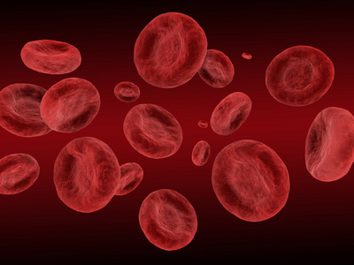 红血细胞呈现照片