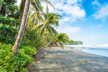 海滩 Negra 海滩在 Cahuita, 利蒙, 哥斯达黎加