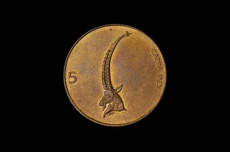 5终端斯洛文尼亚硬币被隔绝在黑暗的背景上