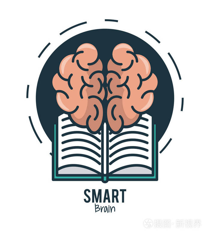 聪明的头脑想法