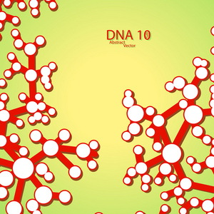 未来的DNA每股收益10
