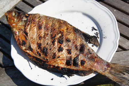 在大白盘子上烧烤的大淡水鱼的特写视图。食物背景。户外背景