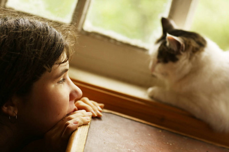 青少年的猫图片