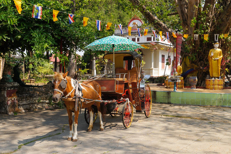 泰国南邦府斯里兰卡的马车