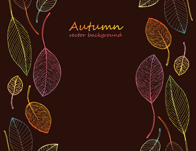 边框框架的色彩鲜艳的秋叶