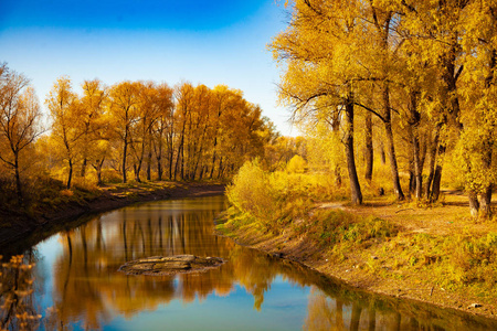 秋天的河流被黄色的树木和蓝天所包围