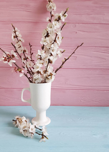 樱花枝在一个花瓶上的彩色木质背景, 春季