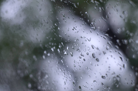 一张雨点的照片落在玻璃窗上, 模糊地看着那朵盛开的绿树。显示多云和阴雨天气情况的抽象图像