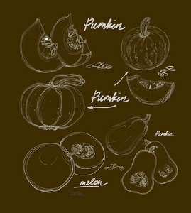 矢量手绘制漂亮的南瓜
