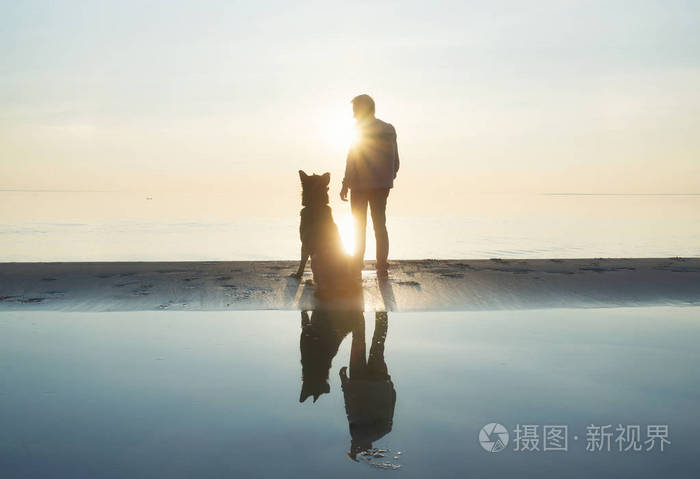 海滩上有狗朋友的男人理念与理念