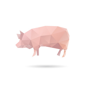 孤立的猪孤立在白色背景上的抽象猪照片