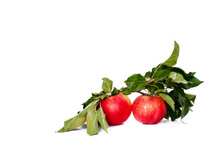 成熟的红苹果与苹果叶子查出的白色背景。带叶子的树枝。文本空间