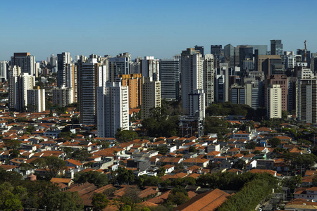世界上最大的城市。圣保罗市, 巴西南美洲