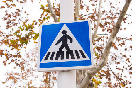 步行信号蓝色步行者交通标志在城市照片