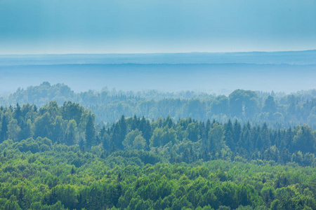 从爱沙尼亚最高的山峰Suur Munamgi 的景色